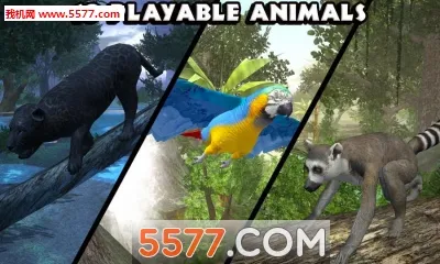 ���ֶ���ģ���������ֻ���v1.2 �ֻ����ͼ2