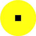 yellow2026�ٷ����°汾