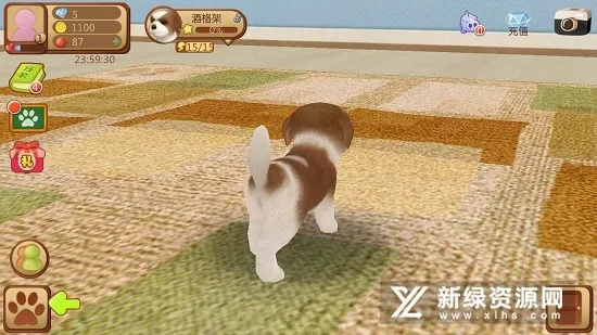 心动小狗(小狗养成游戏) 心动小狗(小狗养成游戏)