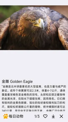 ÿ�ն��������ֻ���v1.0.0 ��Ѱ��ͼ2