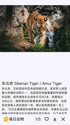 ÿ�ն��������ֻ���v1.0.0 ��Ѱ��ͼ0