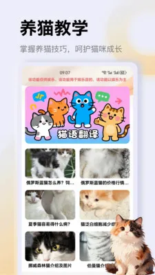 ����è��app2026���°汾v1.3 �ֻ����ͼ1