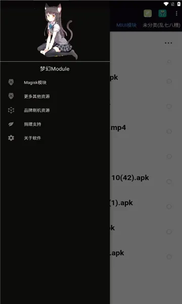 moduleģ�������ֻ���