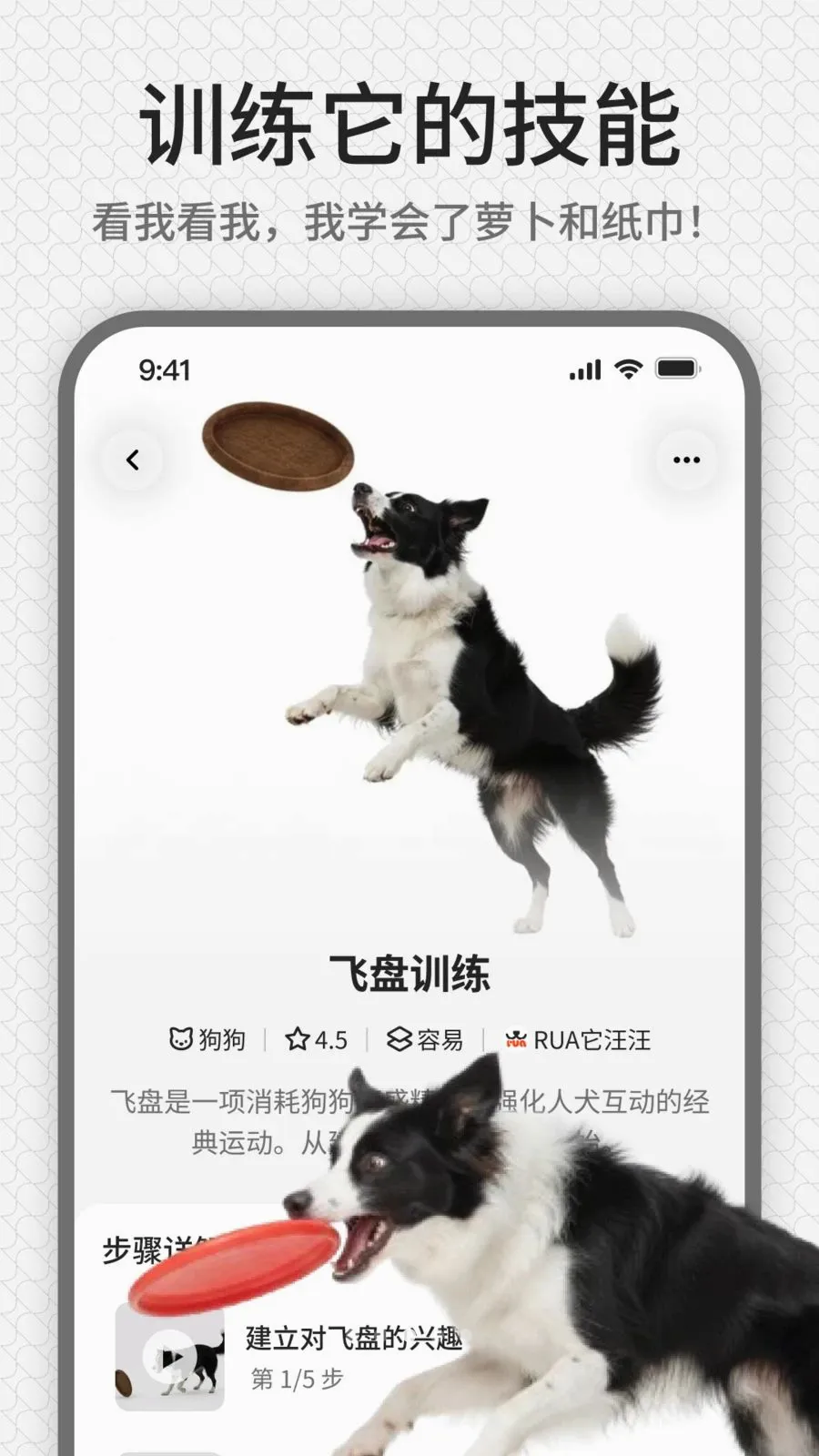 rua��(����ѵ��ƽ̨)v1.0.1 �ٷ������ͼ2
