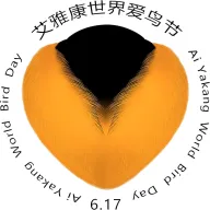 ��������׿���ֻ���