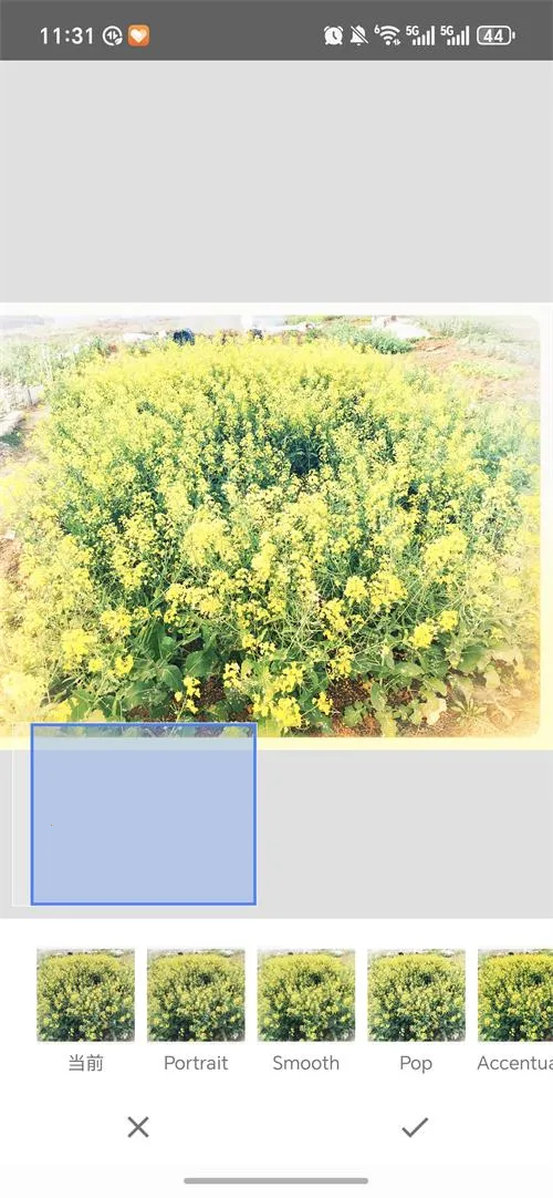 BetterSeed2026���°汾v2.22.0.633363672 ��׿���ͼ0