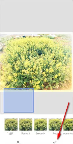 BetterSeed2026���°汾