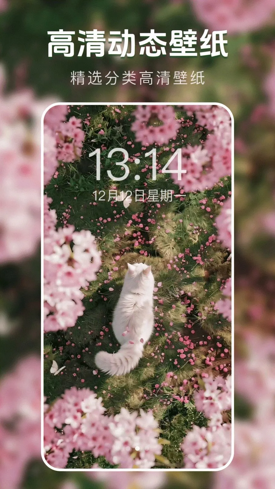 ��̬�����ֽ��(�ֻ���ֽ����)v1.0.0 ��Ѱ��ͼ1