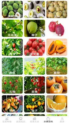 �ͷ׻��������ֻ���v2.7.2.3 �ٷ������ͼ3