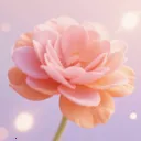 үү�İٲ��û���(�ʻ�����Ӧ��)